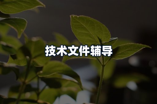 技术文件辅导