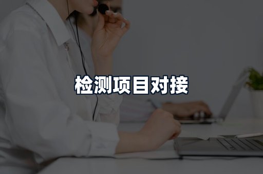 检测项目对接