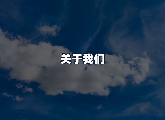 关于我们